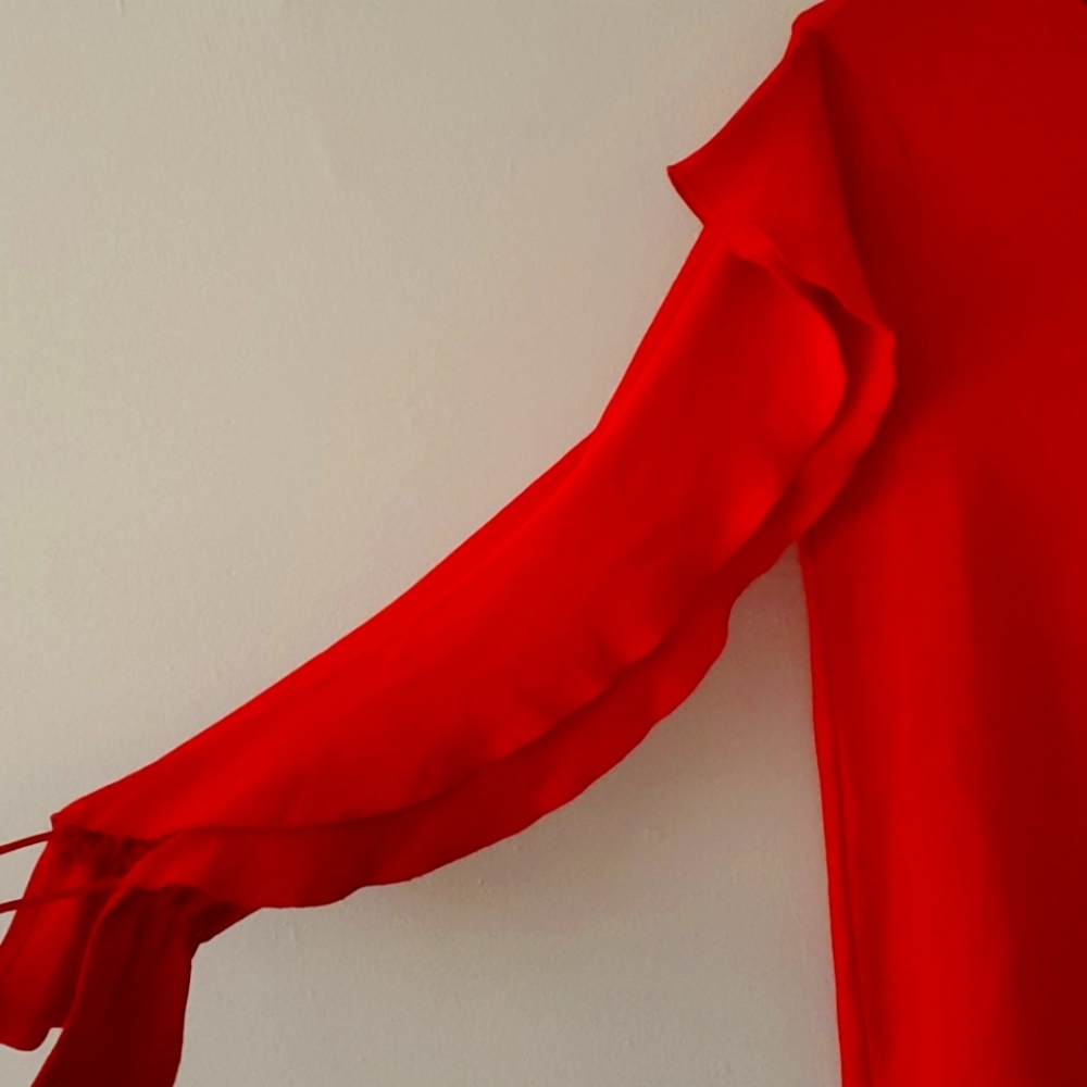 ZARA Ruffle Dress - Picture 2 of 3